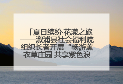 夏日缤纷·花漾之旅——溆浦县社会福利院组织长者开展“畅游薰衣草庄园 共享紫色浪漫”户外活动
