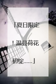 夏日限定！温县荷花初绽……