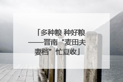 多种粮 种好粮——晋南“麦田夫妻档”忙夏收