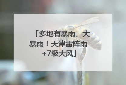 多地有暴雨、大暴雨！天津雷阵雨+7级大风
