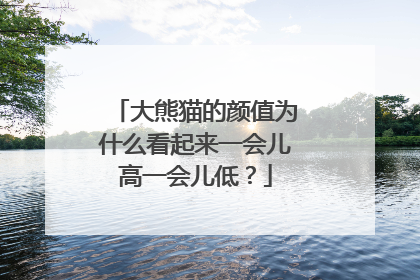 大熊猫的颜值为什么看起来一会儿高一会儿低？