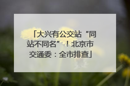 大兴有公交站“同站不同名”！北京市交通委：全市排查