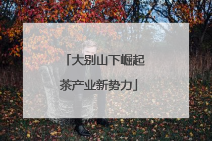 大别山下崛起茶产业新势力
