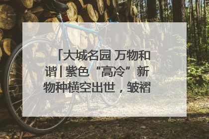 大城名园 万物和谐│紫色“高冷”新物种横空出世，皱褶叶片暗藏进化密码