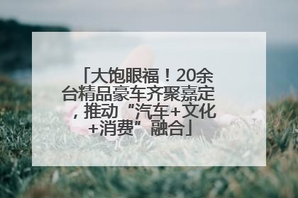 大饱眼福！20余台精品豪车齐聚嘉定，推动“汽车+文化+消费”融合