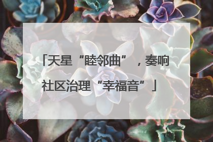 天星“睦邻曲”，奏响社区治理“幸福音”