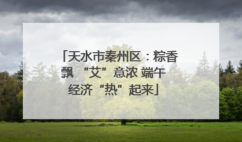 天水市秦州区：粽香飘 “艾”意浓 端午经济“热”起来