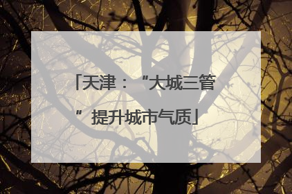 天津：“大城三管”提升城市气质