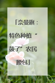 奈曼旗：特色种植“鼓了”农民腰包