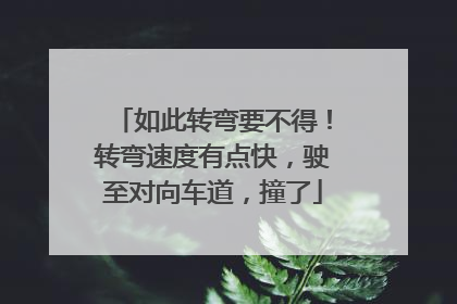 如此转弯要不得！转弯速度有点快，驶至对向车道，撞了
