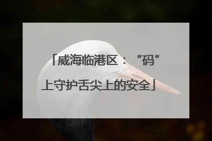 威海临港区：“码”上守护舌尖上的安全