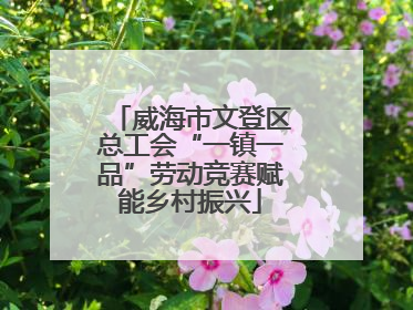 威海市文登区总工会“一镇一品”劳动竞赛赋能乡村振兴