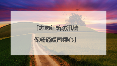 志愿红筑防汛墙 保畅通暖司乘心