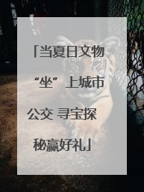 当夏日文物“坐”上城市公交 寻宝探秘赢好礼
