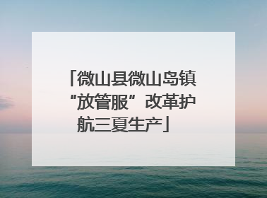 微山县微山岛镇“放管服”改革护航三夏生产