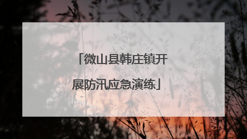微山县韩庄镇开展防汛应急演练