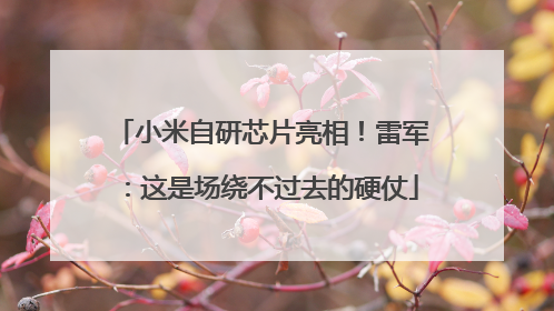 小米自研芯片亮相！雷军：这是场绕不过去的硬仗