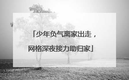 少年负气离家出走，网格深夜接力助归家