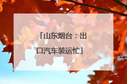 山东烟台：出口汽车装运忙