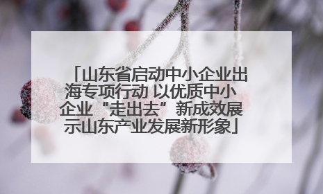 山东省启动中小企业出海专项行动 以优质中小企业“走出去”新成效展示山东产业发展新形象