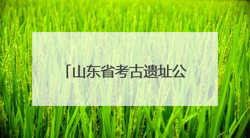 山东省考古遗址公园联盟正式成立