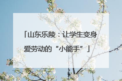 山东乐陵：让学生变身爱劳动的“小能手”