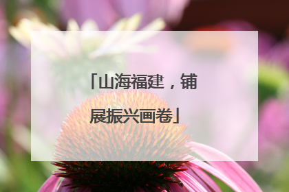 山海福建，铺展振兴画卷