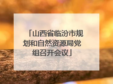 山西省临汾市规划和自然资源局党组召开会议