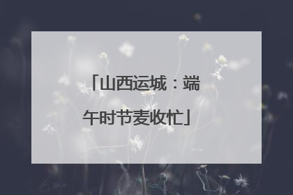 山西运城：端午时节麦收忙