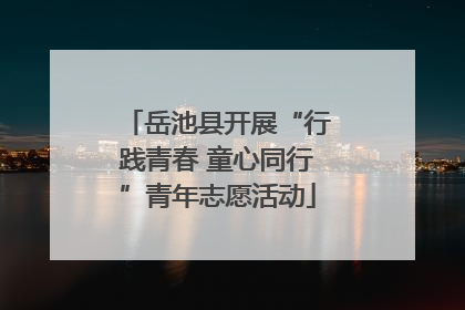 岳池县开展“行践青春 童心同行”青年志愿活动