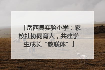 岳西县实验小学：家校社协同育人，共建学生成长“教联体”