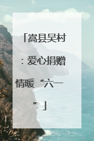 嵩县吴村：爱心捐赠情暖“六一”