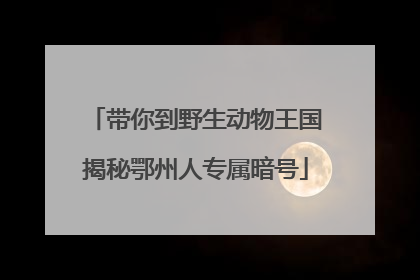 带你到野生动物王国揭秘鄂州人专属暗号