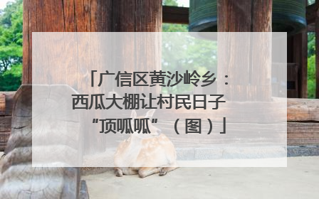 广信区黄沙岭乡：西瓜大棚让村民日子“顶呱呱”（图）