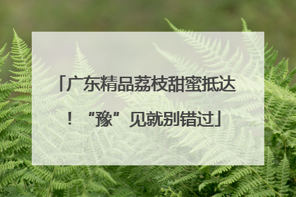广东精品荔枝甜蜜抵达！“豫”见就别错过
