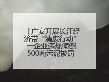广安开展长江经济带“清废行动” 一企业违规倾倒500吨污泥被罚8万元