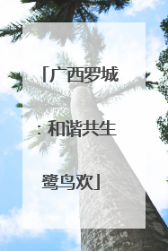广西罗城：和谐共生鹭鸟欢