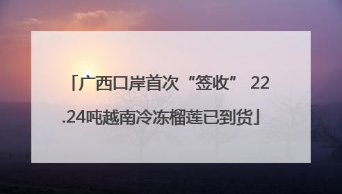 广西口岸首次“签收” 22.24吨越南冷冻榴莲已到货