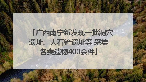 广西南宁新发现一批洞穴遗址、大石铲遗址等 采集各类遗物400余件