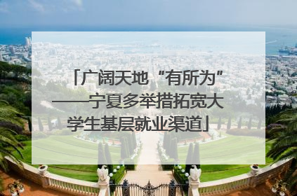广阔天地“有所为”——宁夏多举措拓宽大学生基层就业渠道