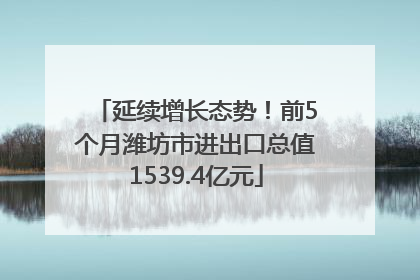 延续增长态势！前5个月潍坊市进出口总值1539.4亿元