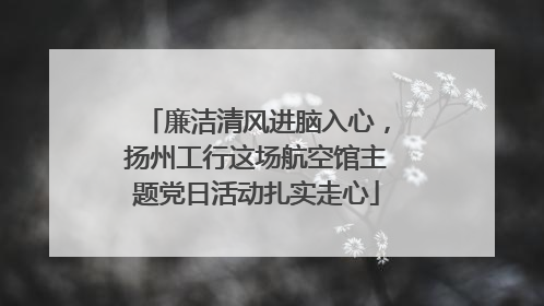 廉洁清风进脑入心，扬州工行这场航空馆主题党日活动扎实走心