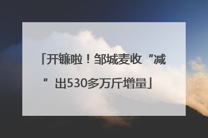 开镰啦！邹城麦收“减”出530多万斤增量