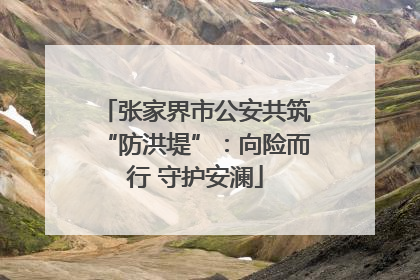 张家界市公安共筑“防洪堤”：向险而行 守护安澜