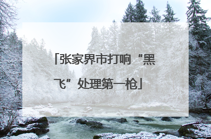 张家界市打响“黑飞”处理第一枪