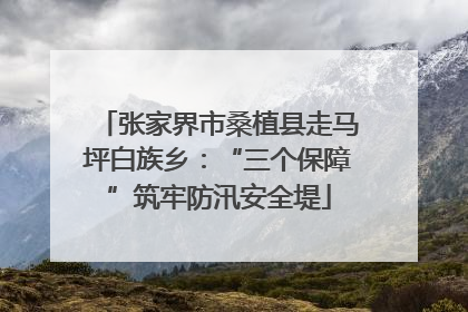 张家界市桑植县走马坪白族乡：“三个保障”筑牢防汛安全堤