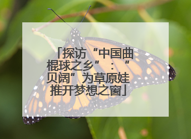 探访“中国曲棍球之乡”：“贝阔”为草原娃推开梦想之窗