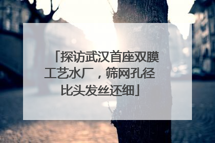 探访武汉首座双膜工艺水厂，筛网孔径比头发丝还细