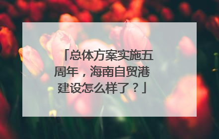 总体方案实施五周年，海南自贸港建设怎么样了？