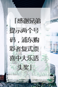 感谢兄弟提示两个号码，浦东购彩者复式票喜中大乐透头奖